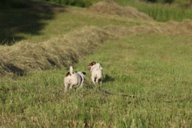 IMG 6757